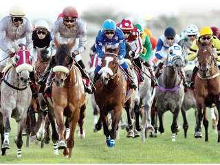 قصر أحمد تحتضن النسخة الأولى الدولية من سباق الخيول في ليبيا